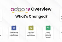 Odoo 19 Customization