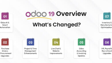 Odoo 19 Customization